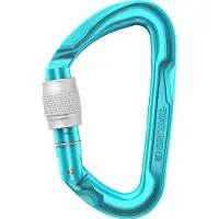 Edelrid - Pure Screw III - Schraubkarabiner türkis