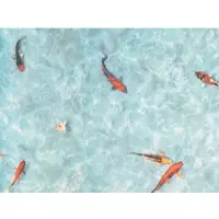Primaflor PVC Boden STARLIGHT - Koi - 2,00m x 20,00m