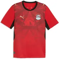 Puma Egypt 25/26 Replica Heim Kurzarm-t-shirt Rot M Mann Rot M