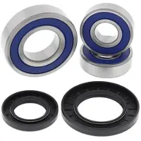 All Balls Racing 25-1393 Vorderradlager-kit