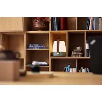 Kooduu Lite-up PLAY Mini, 8 W, Kabellos, USB Typ-C, Tragbarer Mono-Lautsprecher, Grün, Weiß, Holz, andere