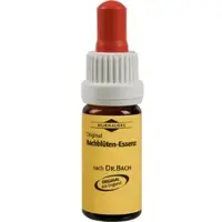 KLOSTERFRAU Bachblüten Murnauer Water Violet Tropfen 20 ml