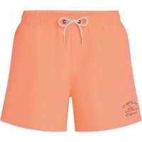 O'Neill Beach 15" Badehose Herren L