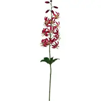 Creativ Green Kunstblume "Wildlilienzweig" mit zauberhaften Blüten