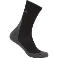 Icebreaker Merino Hike+ Light Crew Socken
