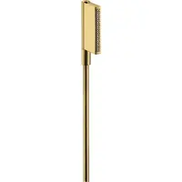 Hansgrohe Handbrause AXOR SHOWERSOLUTIONS ONE 2jet polished gold optic