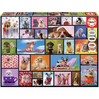 Educa Puzzle - Shared Moments 1000 Teile
