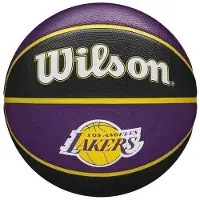 Wilson NBA Tribute LA Lakers Basketball 7