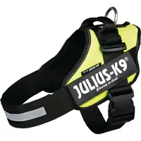 JULIUS K-9 IDC Powergeschirr - Neon - L