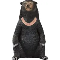 Animal planet Malaienbär