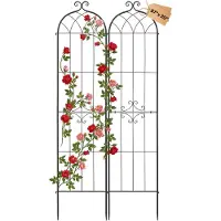 Vevor Rankgitter, 220x52,5 cm 2er-Pack, Metall Rankhilfe mit Pulverbeschichteter Oberfläche & Verriegelungsmechanismus, Kletterhilfe, Garten Spalier, Pflanzengitter für Blumen, Gemüse & Rosen
