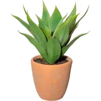 Creativ Green Künstliche Zimmerpflanze "Agave im Terracottatopf"