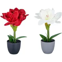 Creativ Green Kunstblume "Amaryllis" mit traumhaft schöner Blüte