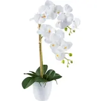 Creativ Green Kunstorchidee "Orchidee Phalaenopsis", weiß, H:56cm, Kunststoff, Kunstpflanzen, Kunstorchidee, mit real-touch-Blüten
