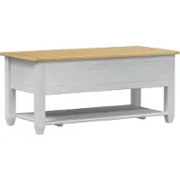 vidaXL Couchtisch Weiß 100 x 48 x 45 cm Massives Kiefernholz