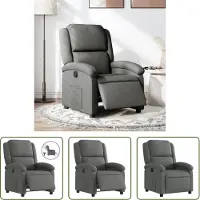 The Living Store Relaxsessel Elektrisch Dunkelgrau Stoff