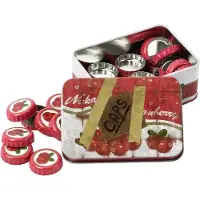 Dpi Merchandising Fallout Bottle Cap Series – Nuka Cranberry (mit Sammler-Metallbox)