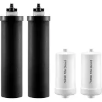 StarTech.com Aktivkohle Wasserfilter Ersatz - 4 Stück Schwerkraftfiltersystem - Hochwertige Filtration für sauberes Wasser - Wasserreinigungssystem