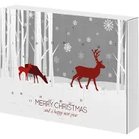 Macma Adventskalender / Weihnachtskalender mit Werkzeug