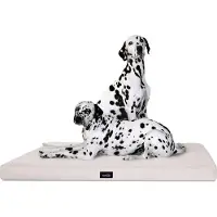 Tierlando Orthopädische Hundematratze ALICE VISCO Hundematte Hundebett S - XXL - Größe: 80x60cm | Farbe: 05 Creme