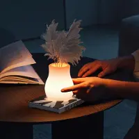 Traumheim 16-farbiges RGB Nachtlicht, Vasenlampe, LED-Nachttischlampe, leuchtendes Nachtlicht, Umgebungslicht, geeignet für Restaurants, Schlafzimmer und Bars
