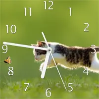 Wallario Design Wanduhr Süße Katze fängt Schmetterling im Grünen aus Echtglas, Größe 20 x 20 cm