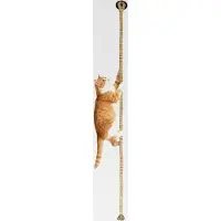 Markenlos Katzenkletterseil, 3 M (9,8 Fuß) Lange Jute-Kletterstange mit Haken und 3 Befestigungsschrauben, Jute Hängende Katze Kletterspielzeug zur Decken- Oder Wandmontage
