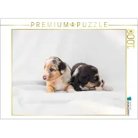 CALVENDO Puzzle Ein Motiv aus dem Kalender Border Welpen | 1000 Teile Lege-Größe 64x48cm Foto-Puzzle für glückliche Stunden