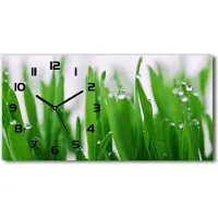 Tulup Wanduhr aus Glas – 60x30 cm - Glasbild - Glasuhr - Gehärtetes Glas - schwarze-zeiger - Grashalme