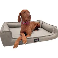 Tierlando Orthopädisches Hundebett GUSTAV SCANDI CHIC Große Hunde XL Hundesofa - Größe: 130x100cm | Farbe: 05 Creme