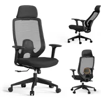 Sense7 Nakai Ergonomischer Bürostuhl Schreibtischstuhl Schwarz 3D-Armlehnen Netzrücken Lendenwirbelstütze Chefsessel PC Stuhl Homeoffice 150 kg