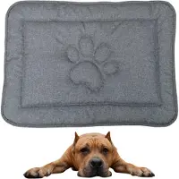 DOTTY Hundematte mit Pfotenmotiv – Graphit Grau – Größe L (88×60 cm) – wasserdicht, rutschfest und pflegeleicht – Hundeliege für große Hunde