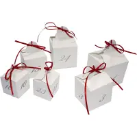 Roth Adventskalender "24 Adventswürfel zum Befüllen"
