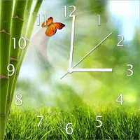 Wallario Design Wanduhr Schmetterling im Grünen mit Bambus aus Echtglas, Größe 30 x 30 cm