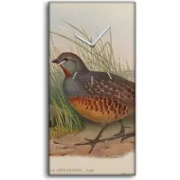 Coloray Leinwand Wanduhr Wandkunst Uhr Quarz 30x60 Vögel Wild Tiere Zeichnung Kunst - weiße Hände