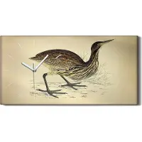 Coloray Wandbild Leinwand Bilder mit Uhr 60x30 Vögel Wild Tiere Zeichnung Kunst - weiße Hände