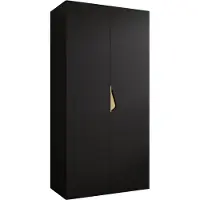 MEBLE KRYSPOL Schrank 100x202x52 cm mit Kleiderstange, 2xTür, SANDI, Schwarz, Griff Gold