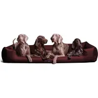 Tierlando Orthopädisches Hundebett GOOFY >> inkl. Matratzenschoner