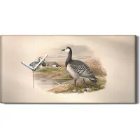 Coloray Wohnzimmer-Bild Leinwand Uhr Geräuschlos 60x30 Vögel Wild Tiere Zeichnung Kunst - weiße Hände
