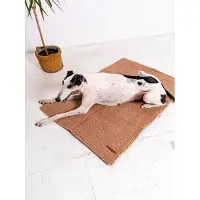 Rexproduct Mia Teddy – faltbare Reisematte für Hunde, beige, Größe L