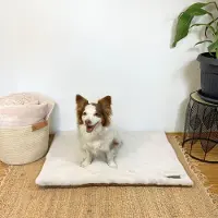 DOTTY Fellmatte für Hunde, waschbar & rutschfest – Hundematte für Auto, Hundebox, Sofa – Reisebett für kleine & große Hunde - Creme ecru weiches Fell