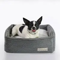 DOTTY Hundesofa CUBE Hundebett Hundekissen Tierbett Katzenbett Hundekorb Schlafplatz Größe M (50 x 50 cm)