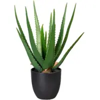P&b Kunstpflanze 3321103LO-50 Aloe Vera
