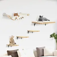 Markenlos Katzen kletterwand Set mit Katzenbaum Hängematte,Katzen Wandelemente,Katzentreppe Wand,5-Teiliges Massivholz Katzenwandmöbel Set für Katze Catwalk