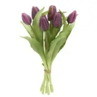 Möbel Kraft Tulpenbund , lila/violett , Kunststoff , Maße (cm): H: 32