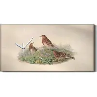 Coloray Wandbild Leinwand Bilder mit Uhr 60x30 Vögel Wild Tiere Zeichnung Kunst - weiße Hände