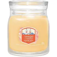Yankee candle Duftkerze Slopeside Spritz Medium Jar