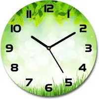 Tulup Wanduhr aus Glas 30fi Glasbild Glasuhr Gehärtetes Glas - schwarze-zeiger - Leaves and grass
