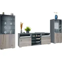 Vladon Wohnwand Granada, Anbauwand bestehend aus 2 Vitrinen und 1 TV-Board, Anthrazit matt/Eiche Nordic (286 x 122,5 x 35 cm)