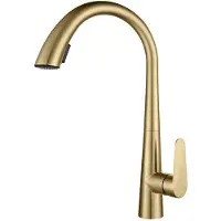 Debuy 304 Edelstahl Küchenarmatur, herausziehbare Mischbatterie, 360° drehbar, zwei Strahlarten per Knopfdruck, gebürstete Oberfläche, Gold
